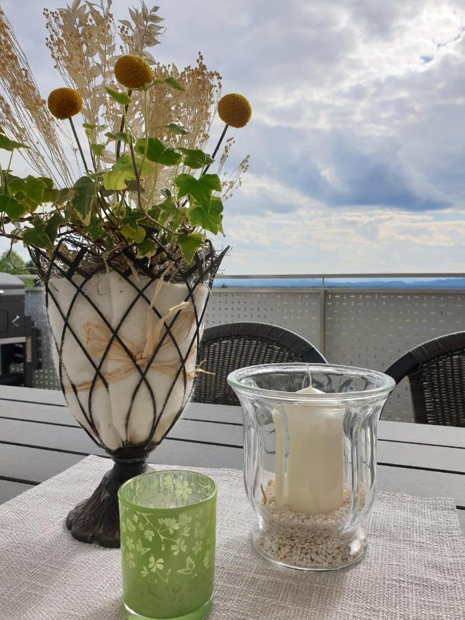 Nikolaier Weinblick - Chalet Sauvignon Blanc Sankt Nikolai ob Draßling 外观 照片